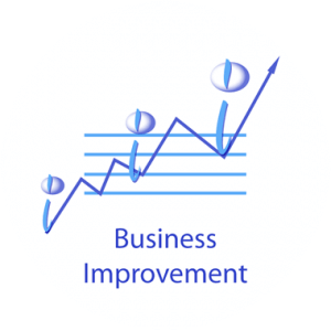 Business Improvement
