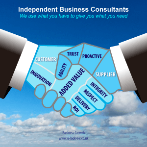 independent business consultants