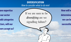 DIVERSIFICATION How to consider what to do next