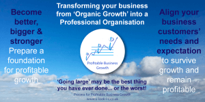 business consultants