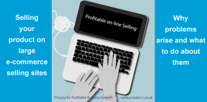 business consultants