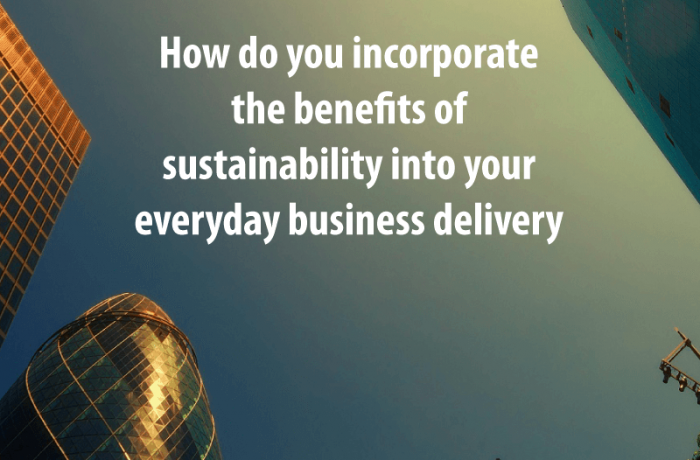 Incorporating the benefits of sustainability into business delivery
